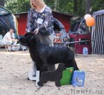 Превью фото № 47174