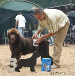 Превью фото № 47177