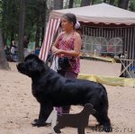 Превью фото № 47199