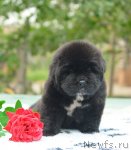 Превью фото № 47514