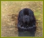 Превью фото № 47995