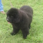 Превью фото № 48329