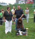 Превью фото № 48337