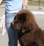 Превью фото № 48348