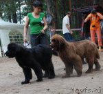 Превью фото № 48645