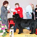 Превью фото № 4880