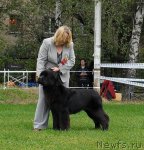 Превью фото № 48922