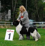 Превью фото № 48927