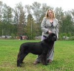 Превью фото № 49028