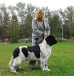 Превью фото № 49029