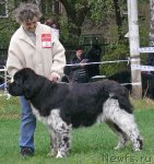 Превью фото № 49039