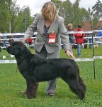 Превью фото № 49047