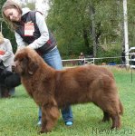 Превью фото № 49049