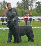 Превью фото № 49051