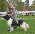 Превью фото № 49054