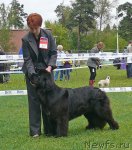 Превью фото № 49057