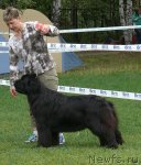 Превью фото № 49059