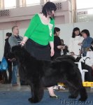 Превью фото № 49077