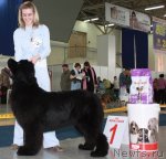 Превью фото № 49078