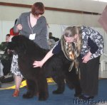 Превью фото № 49082