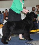 Превью фото № 49087