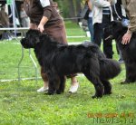 Превью фото № 49170