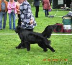 Превью фото № 49172