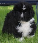 Превью фото № 49238