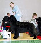 Превью фото № 4927