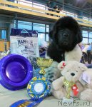 Превью фото № 49298