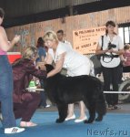 Превью фото № 49464