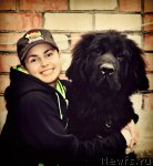 Превью фото № 49636