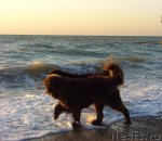 Превью фото № 49644