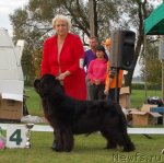 Превью фото № 49681