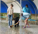 Превью фото № 49906