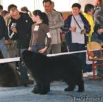 Превью фото № 4992