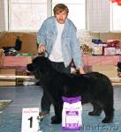 Превью фото № 4996