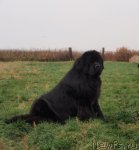 Превью фото № 50207