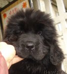 Превью фото № 50377