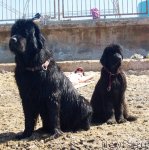 Превью фото № 50393