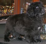 Превью фото № 50428