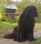 Превью фото № 50572