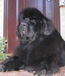 Превью фото № 50844