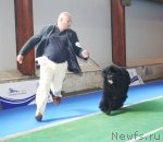 Превью фото № 51231