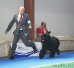 Превью фото № 51232