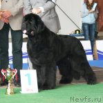 Превью фото № 51237