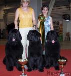 Превью фото № 5131