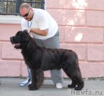 Превью фото № 51312