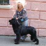 Превью фото № 51344