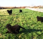 Превью фото № 51604